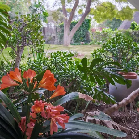 Willa Casa Teresa Marbella